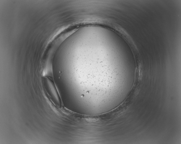 X0000076420436200611031817