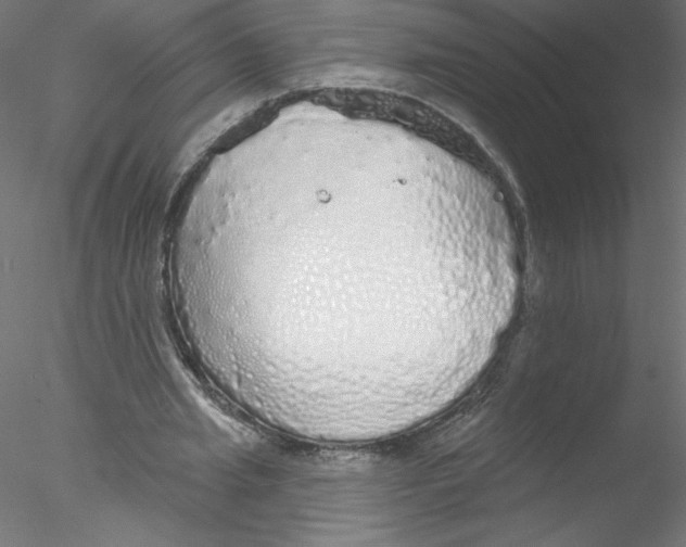 X0000076420437200611031817