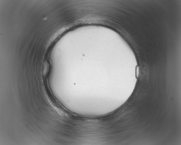 X0000076420438200611031817