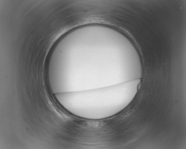 X0000076420439200611031817