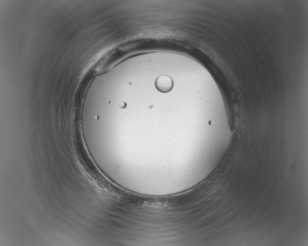 X0000076420440200611031817