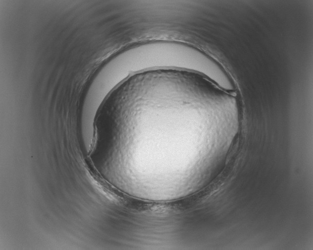 X0000076420441200611031817