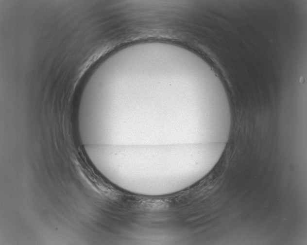 X0000076420443200611031818