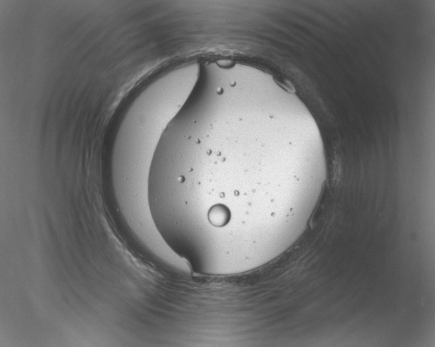 X0000076420444200611031818