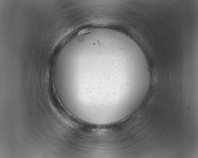 X0000076420448200611031818