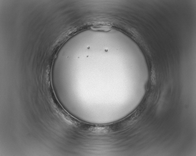 X0000076420449200611031818