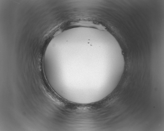 X0000076420450200611031818