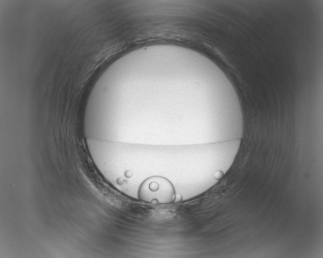 X0000076420451200611031818