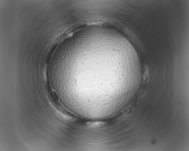 X0000076420452200611031818