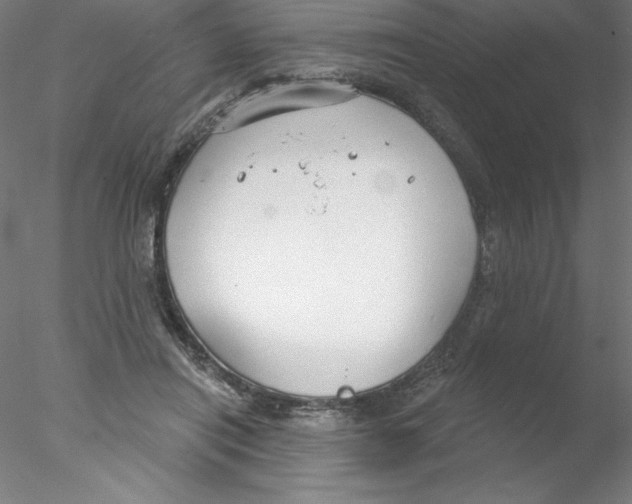 X0000076420454200611031818