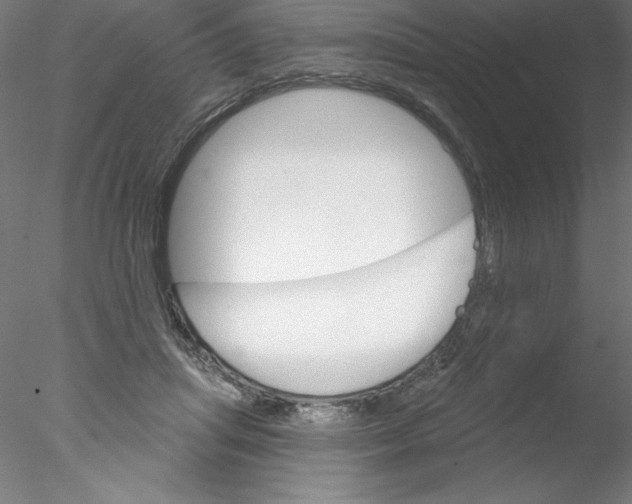 X0000076420455200611031818