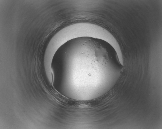 X0000076420456200611031818