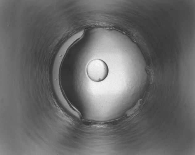 X0000076420457200611031818