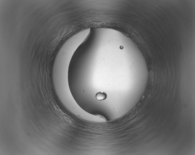 X0000076420458200611031818