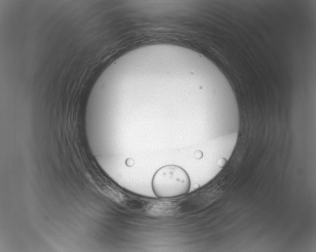 X0000076420459200611031818