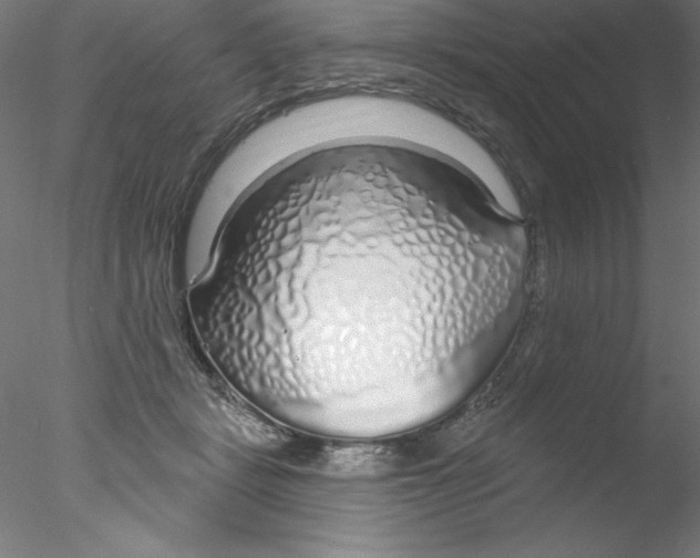 X0000076420461200611031818