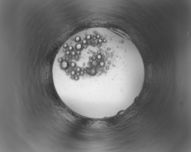 X0000076420463200611031818