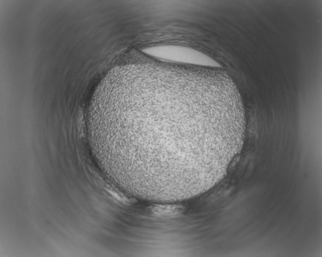 X0000076420465200611031818