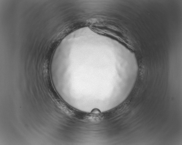 X0000076420466200611031818