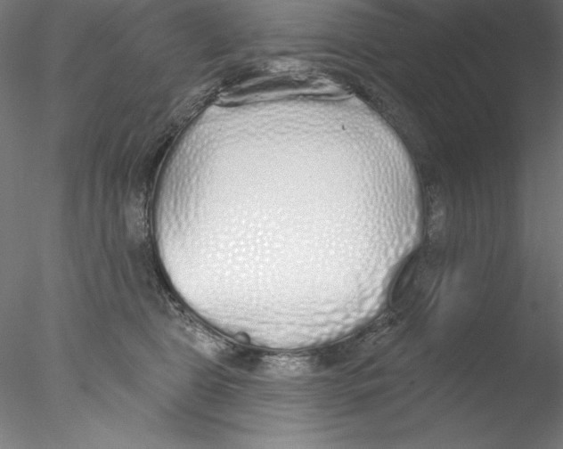 X0000076420469200611031818