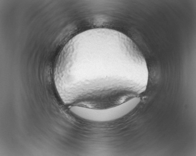 X0000076420470200611031818