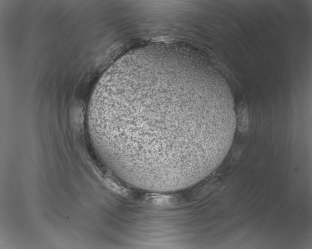 X0000076420472200611031818