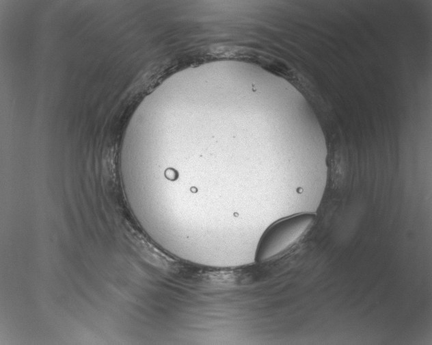 X0000076420473200611031818