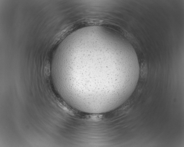 X0000076420474200611031818