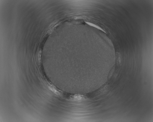 X0000076420475200611031818