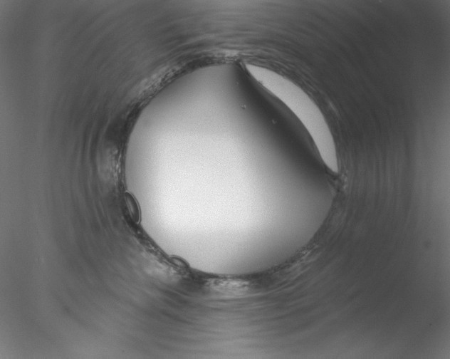 X0000076420476200611031818