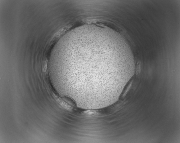 X0000076420477200611031818