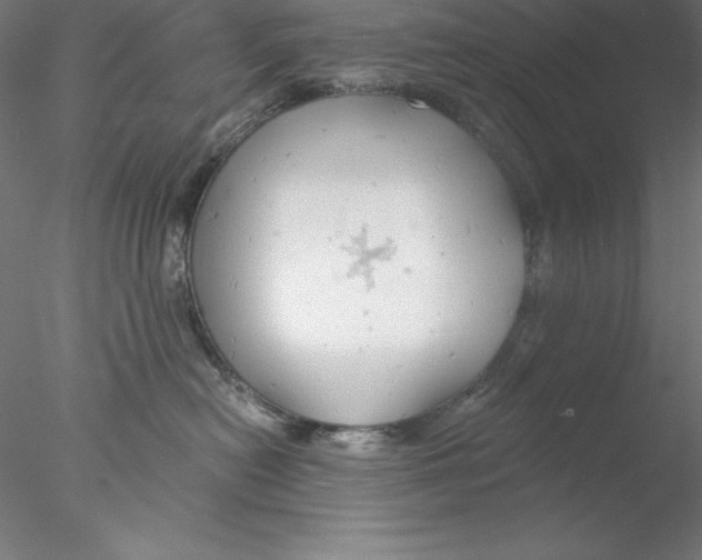 X0000076420478200611031818