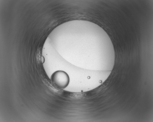 X0000076420479200611031818