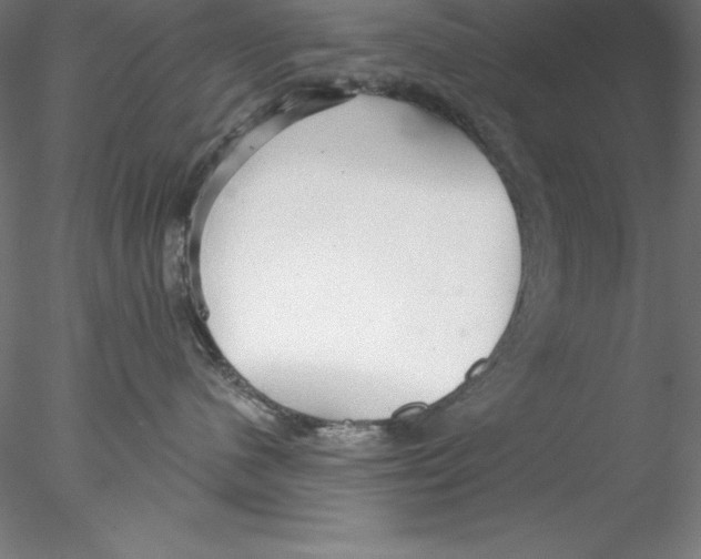 X0000076420480200611031818