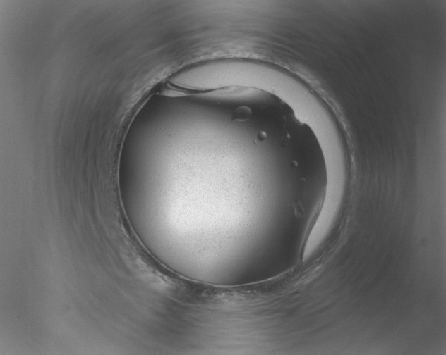 X0000076420481200611031817