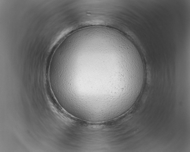 X0000076420482200611031817