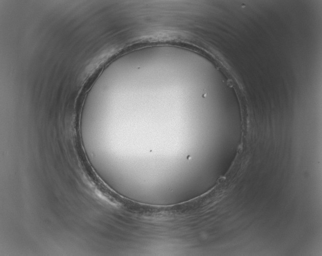 X0000076420485200611031817