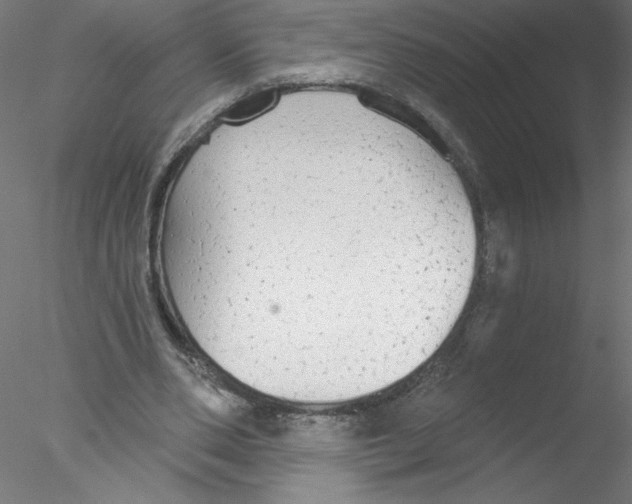 X0000076420486200611031817