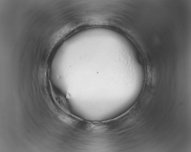 X0000076420487200611031817