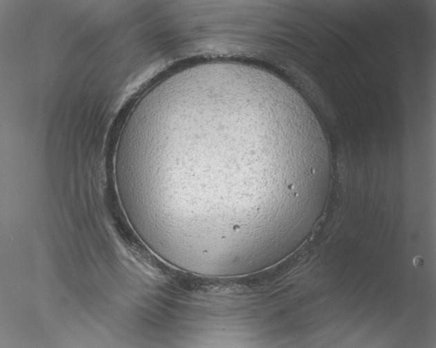 X0000076420488200611031817