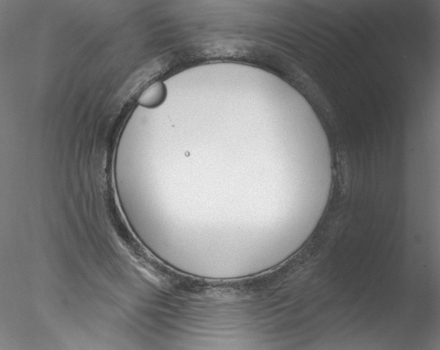 X0000076420490200611031817