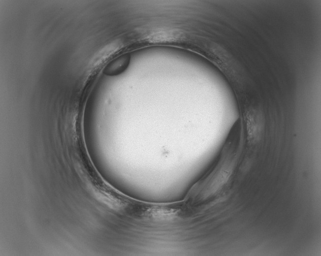 X0000076420491200611031817