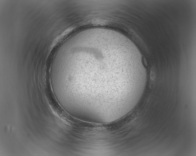 X0000076420492200611031817