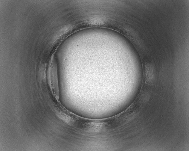 X0000076420495200611031817