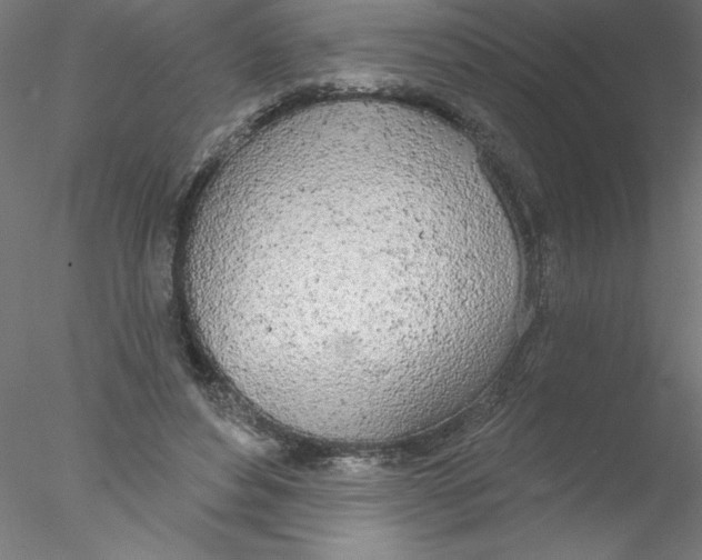 X0000076420496200611031817