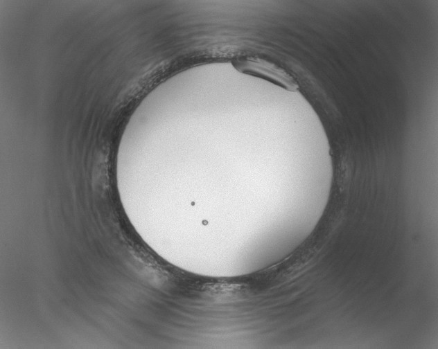 X0000076420497200611031817