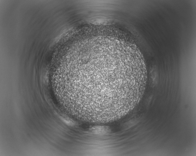 X0000076420499200611031817