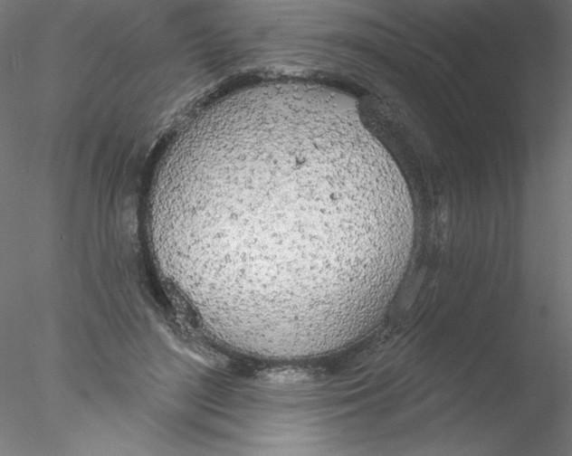 X0000076420500200611031817