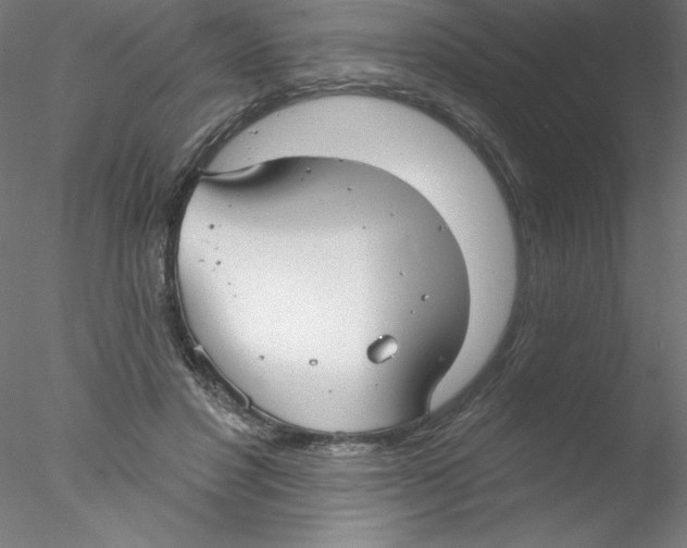 X0000076420501200611031817