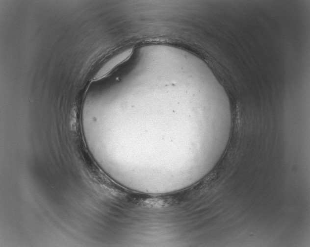 X0000076420502200611031817